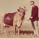 Elsie the Cow, Serge Bervy
